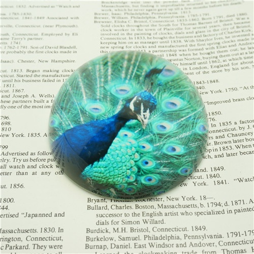 8cm Diameter Glass Dome Paperweights Wholesale/Popular Peacock Design for Gifts