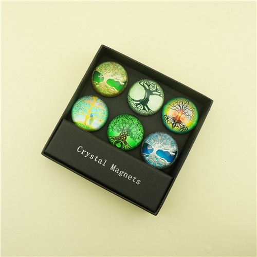40mm Dome Glass Fridge Magnets/Spring Summer Collection