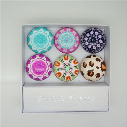 Fridge Magnet/ domed fridge magnet