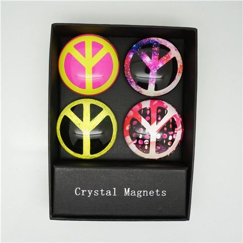 Fridge Magnet/glass fridge magnet set