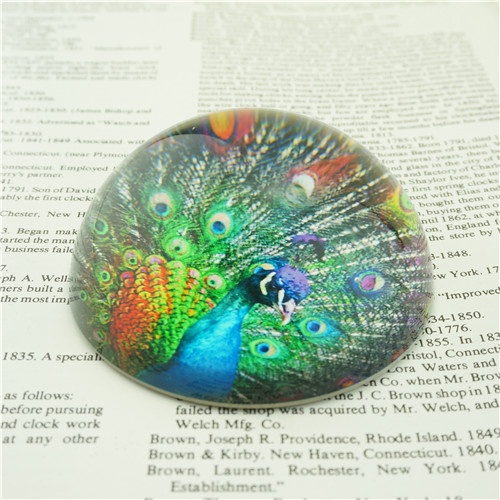 Peacock Design Paperweights/80mm Round Dome Glass Paper Weights