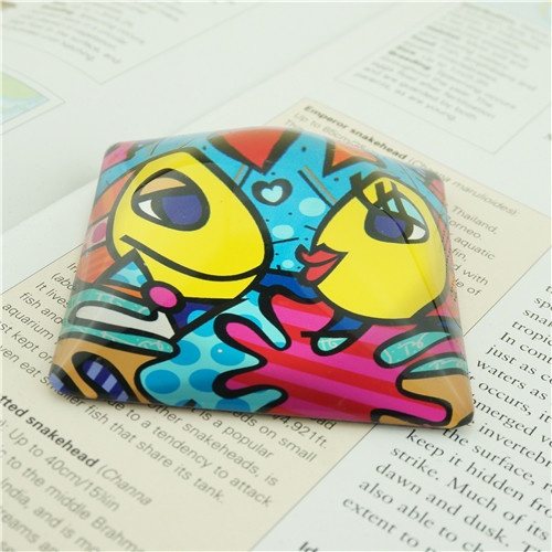 Cute Fish Paperweights/Glass Domed Photo Paper Weight