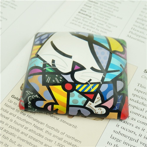 Printing Cat Design Gifts/Glass Dome Paper Weights/Welcome personalized Pet Design