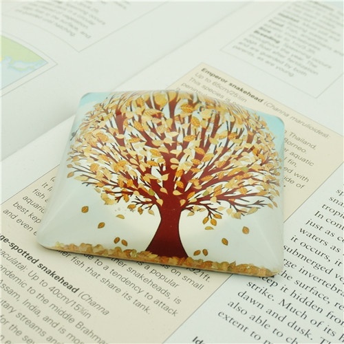 Tree Design Custom Glass Paperweight wiht Domed look/Welcome customized Designs