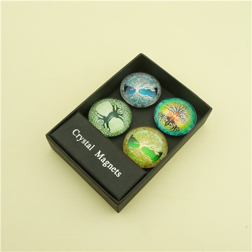 Magnets Display Box with 4 pcs Decorative Fridge Door Sticker