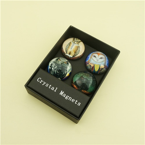 Gift Box Set of 4 pcs Owl Design Magnets/Pretty Fridge Door Decoration
