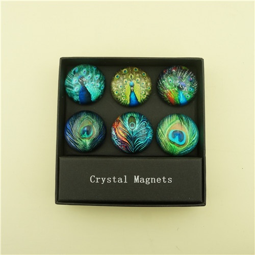 Factory Wholesale Fridge Magnets/Collectible Peacock Series