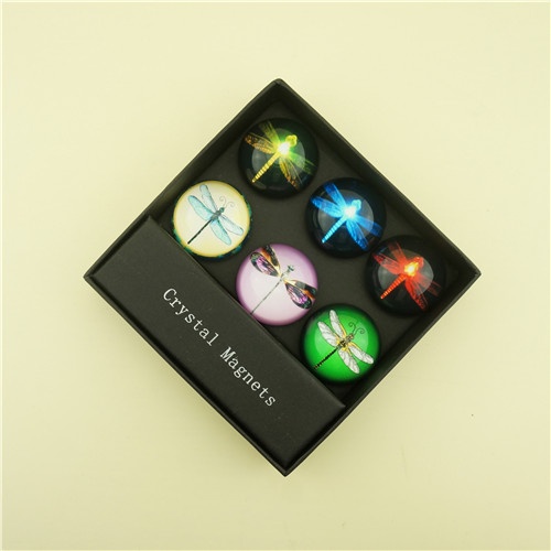 Birthday Gift Set of 6 pcs Fridge Magnets with Dragonfly Design