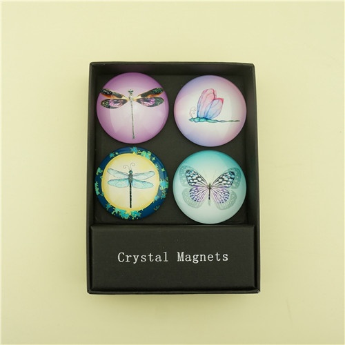 Lovely Dragonfly & Butterfly Pattern on Glass Dome Magnets/3cm/3.5cm/4cm/5cm