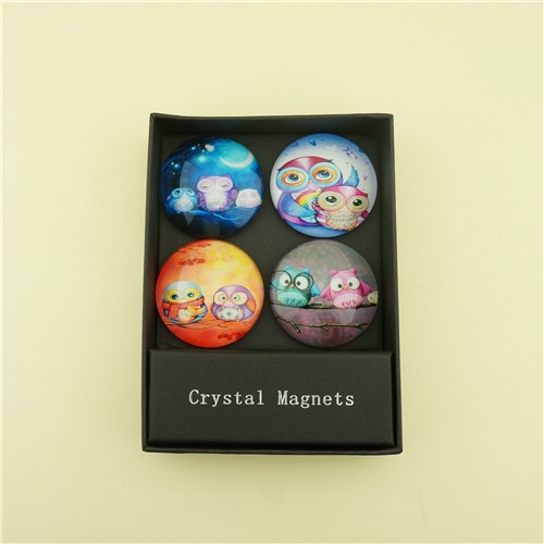 Magnets Gift Set of 4 pcs Glass Dome with Printing Owls