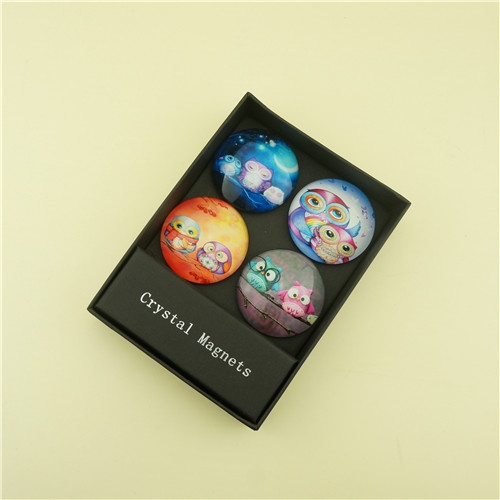 Magnets Gift Set of 4 pcs Glass Dome with Printing Owls