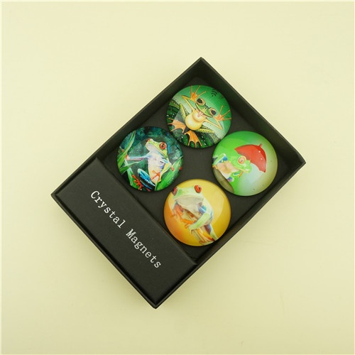 Pretty Frog Glass Fridge Sticker with Strong Rubber Magnets