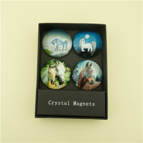 Gift Set of Horse Designs Fridge Door Magnets/Diameter 50mm Domed Glass