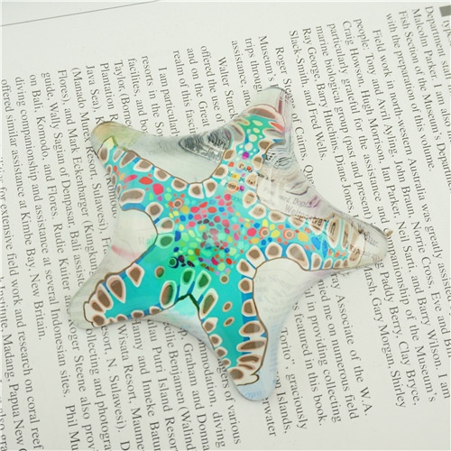 Starfish glass paperweight/Beautiful object for home