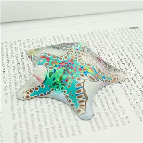 Starfish glass paperweight Custom Print