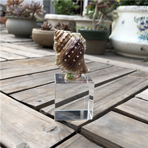 K9 Crystal Table Decoration with Metal Conch
