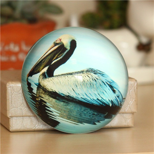 Ocean Collection Custom Crystal Glass Dome Paperweight