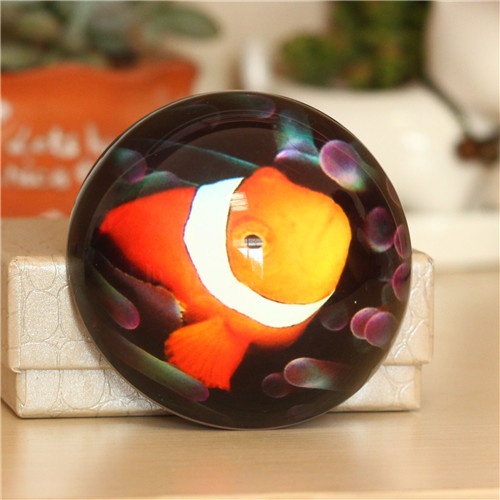 Colorful fish Custom Glass Paperweight